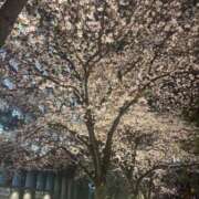 ヒメ日記 2026/04/01 12:14 投稿 もゆ【黒髪清純派美少女】 STELLA TOKYO－ステラトウキョウ－