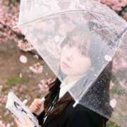 ヒメ日記 2026/04/22 17:57 投稿 もゆ【黒髪清純派美少女】 STELLA TOKYO－ステラトウキョウ－