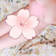 ヒメ日記 2026/03/14 15:31 投稿 ことみ 館山secret