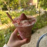 ヒメ日記 2026/04/19 22:54 投稿 きこ ドンファン