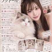 きこ 🐱 ドンファン