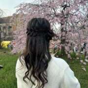 ヒメ日記 2026/03/30 16:50 投稿 ☆ひまり☆ ◆プラウディア◆AAA級素人娘在籍店