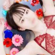 ヒメ日記 2026/02/28 23:23 投稿 あしゅ アラカルト