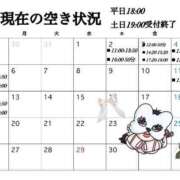 ヒメ日記 2026/03/29 07:23 投稿 あしゅ アラカルト