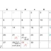 あしゅ 【🍣】明日から出勤 アラカルト