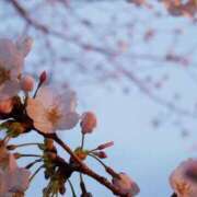 さき 感謝♥️ ニューヨークニューヨーク