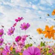 ヒメ日記 2026/03/10 00:05 投稿 みう 大宮人妻デリヘル～大人の事情～