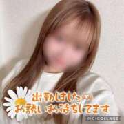 ヒメ日記 2026/03/10 14:24 投稿 みう 大宮人妻デリヘル～大人の事情～