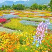 ヒメ日記 2026/05/05 10:05 投稿 みう 大宮人妻デリヘル～大人の事情～
