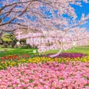 ヒメ日記 2026/05/06 10:05 投稿 みう 大宮人妻デリヘル～大人の事情～