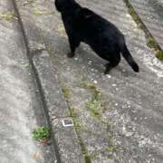 ヒメ日記 2026/03/15 14:58 投稿 ちな ZERO