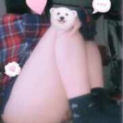 ヒメ日記 2026/03/24 01:42 投稿 えりか 木更津人妻花壇