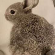 ヒメ日記 2026/05/09 03:42 投稿 えりか 木更津人妻花壇