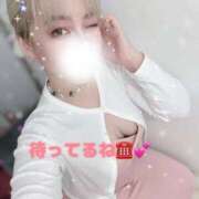ヒメ日記 2026/07/07 22:18 投稿 えりか 木更津人妻花壇