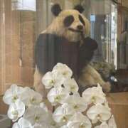 えりか 🌛休暇中です🐼 木更津人妻花壇
