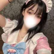 ヒメ日記 2026/03/27 12:01 投稿 ほしな 桜色学園