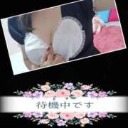 ヒメ日記 2026/03/03 22:36 投稿 ゆりの 埼玉熊谷ちゃんこ