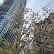 ヒメ日記 2026/04/08 20:58 投稿 かおり 新宿カルテ