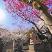 ヒメ日記 2026/03/31 09:19 投稿 るるな 白い巨乳