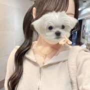 ヒメ日記 2026/06/21 20:41 投稿 MII Club SEXY