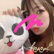 ヒメ日記 2026/03/05 13:54 投稿 ことり ふわふわコレクション