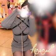 ヒメ日記 2026/03/09 16:14 投稿 ことり ふわふわコレクション