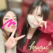 ヒメ日記 2026/03/28 16:04 投稿 ことり ふわふわコレクション