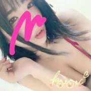 ヒメ日記 2026/03/31 03:04 投稿 ことり ふわふわコレクション