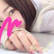 ヒメ日記 2026/04/03 14:47 投稿 ことり ふわふわコレクション