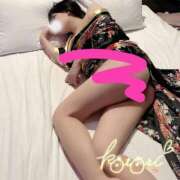 ヒメ日記 2026/04/08 23:54 投稿 ことり ふわふわコレクション