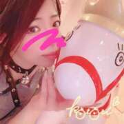 ヒメ日記 2026/04/15 09:44 投稿 ことり ふわふわコレクション