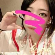 ヒメ日記 2026/04/29 13:20 投稿 ことり ふわふわコレクション