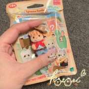 ヒメ日記 2026/05/13 03:24 投稿 ことり ふわふわコレクション