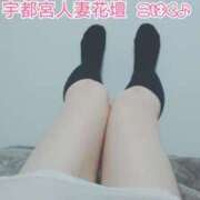 ヒメ日記 2026/05/20 18:33 投稿 こはく モアグループ宇都宮人妻花壇