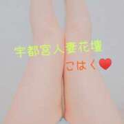 ヒメ日記 2026/06/20 15:55 投稿 こはく モアグループ宇都宮人妻花壇