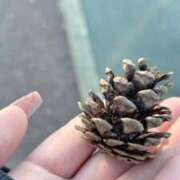 ヒメ日記 2026/03/02 20:34 投稿 くるみ 多恋人倶楽部周南店