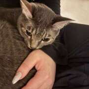 ヒメ日記 2026/03/03 03:30 投稿 くるみ 多恋人倶楽部周南店