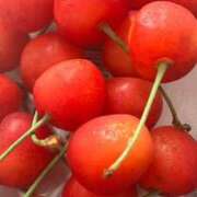 ヒメ日記 2026/03/03 18:31 投稿 くるみ 多恋人倶楽部周南店