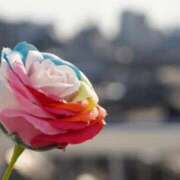 ヒメ日記 2026/03/04 11:55 投稿 くるみ 多恋人倶楽部周南店