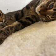 ヒメ日記 2026/03/04 14:01 投稿 くるみ 多恋人倶楽部周南店