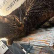 くるみ ありがとうございました☺️ 多恋人倶楽部周南店