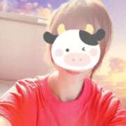 ヒメ日記 2026/03/12 15:30 投稿 いおり 和楽(わらく)