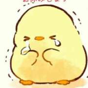 ヒメ日記 2026/03/31 09:33 投稿 山添 みみ La elf（ラ・エルフ）