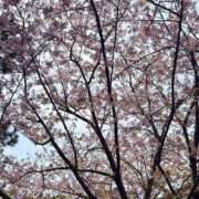 ヒメ日記 2026/04/08 13:12 投稿 りお Hip's千葉駅前店