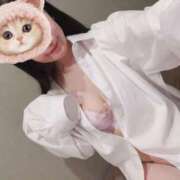 ヒメ日記 2026/05/23 10:15 投稿 みほの The White