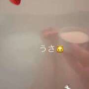 ヒメ日記 2026/04/11 08:17 投稿 うさ 優しいM性感 五反田