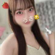 ヒメ日記 2026/04/12 13:17 投稿 うさ 優しいM性感 五反田