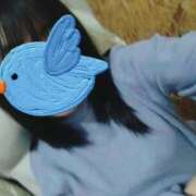 ヒメ日記 2026/04/10 09:15 投稿 もゆ 姫マーケット