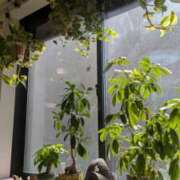 ヒメ日記 2026/03/05 11:12 投稿 上原かこ ワイフコレクション