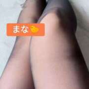 ヒメ日記 2026/03/26 15:54 投稿 まな奥様 金沢の20代30代40代50代が集う人妻倶楽部